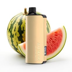 Alibarbar Ingot 9000 Puffs Sandía Hielo 22ml 2350mAh 1.2 Ohm