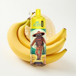 JNR Alien 10000 Puffs 850mAh 20ml Plátano Hielo Mexico vape