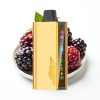 JNR Cruiser 12000 Puffs Sin Carga Vape Desechable Blackberry Ice 25ml 3500mAh
