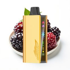 JNR Cruiser 12000 Puffs Sin Carga Vape Desechable Blackberry Ice 25ml 3500mAh