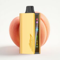 JNR Cruiser 12000 Puffs Sin Carga Vape Desechable Durazno Hielo 25ml 50mg