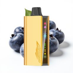 JNR Cruiser 12000 Puffs Sin Carga Vape Desechable Explosión de Arándanos 25ml 50mg