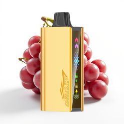 JNR Cruiser 12000 Puffs Sin Carga Vape Desechable Uva Helada 25ml 50mg/mL Dual Mesh