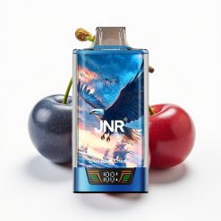 JNR Falcon Pro 28000 30ml 950mAh 5% Arándano Azul Cereza