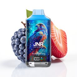 JNR Falcon X 18000 Puffs 24ml Dual Mesh Blue Razz Ice Mexico vape