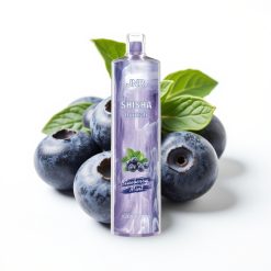 JNR Shisha Hookah 12000 Puffs 24ml Menta Arándano Tipo-C 750mAh