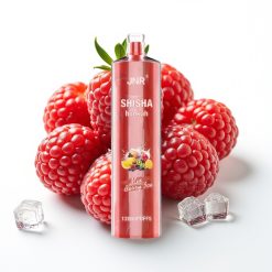 JNR Shisha Hookah 12000 Puffs Berry Ice 24ml 750mAh Tipo-C
