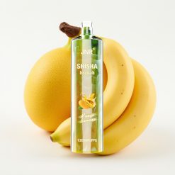 JNR Shisha Hookah 12000 Puffs Mango Banana 24ml 750mAh Tipo-C